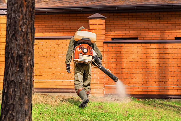 Bed Bug Clearance Verification and Documentation in El Rio